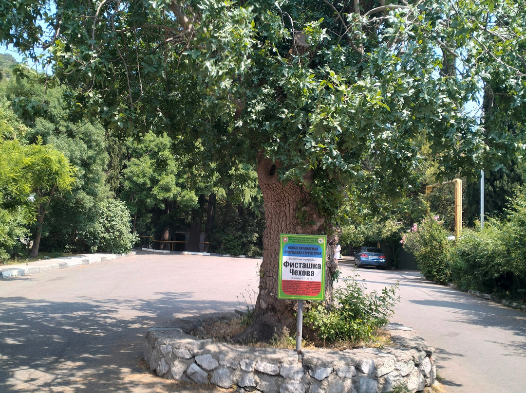 Nikita Botanical Gardens-Nikita必去景点