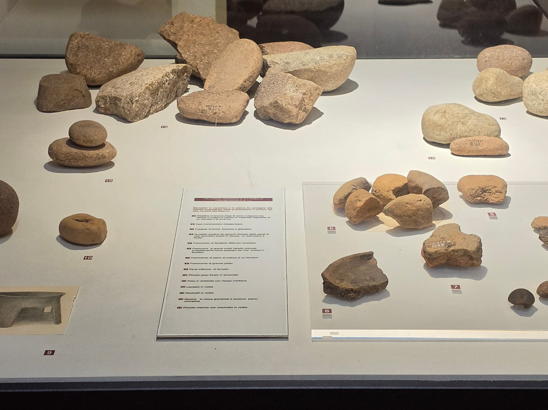 Torre di Malta e Museo Archeologico-奇塔代拉必去景点