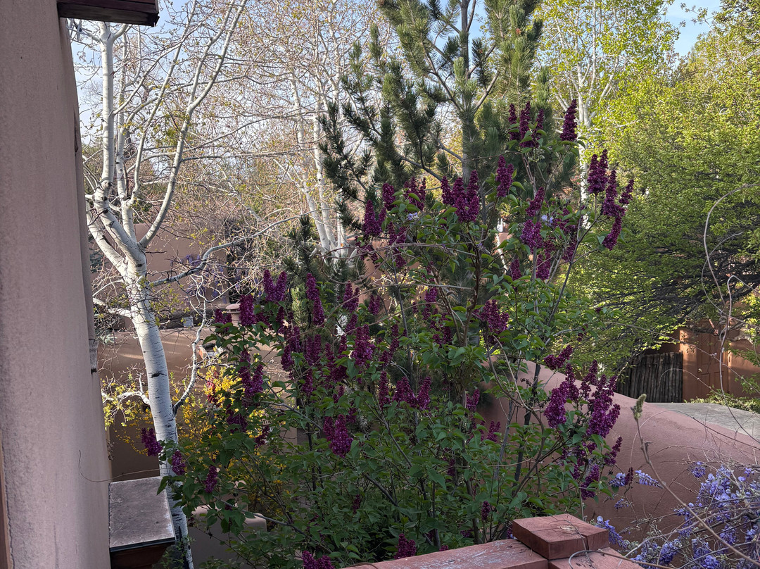 阿拉米达酒店主图