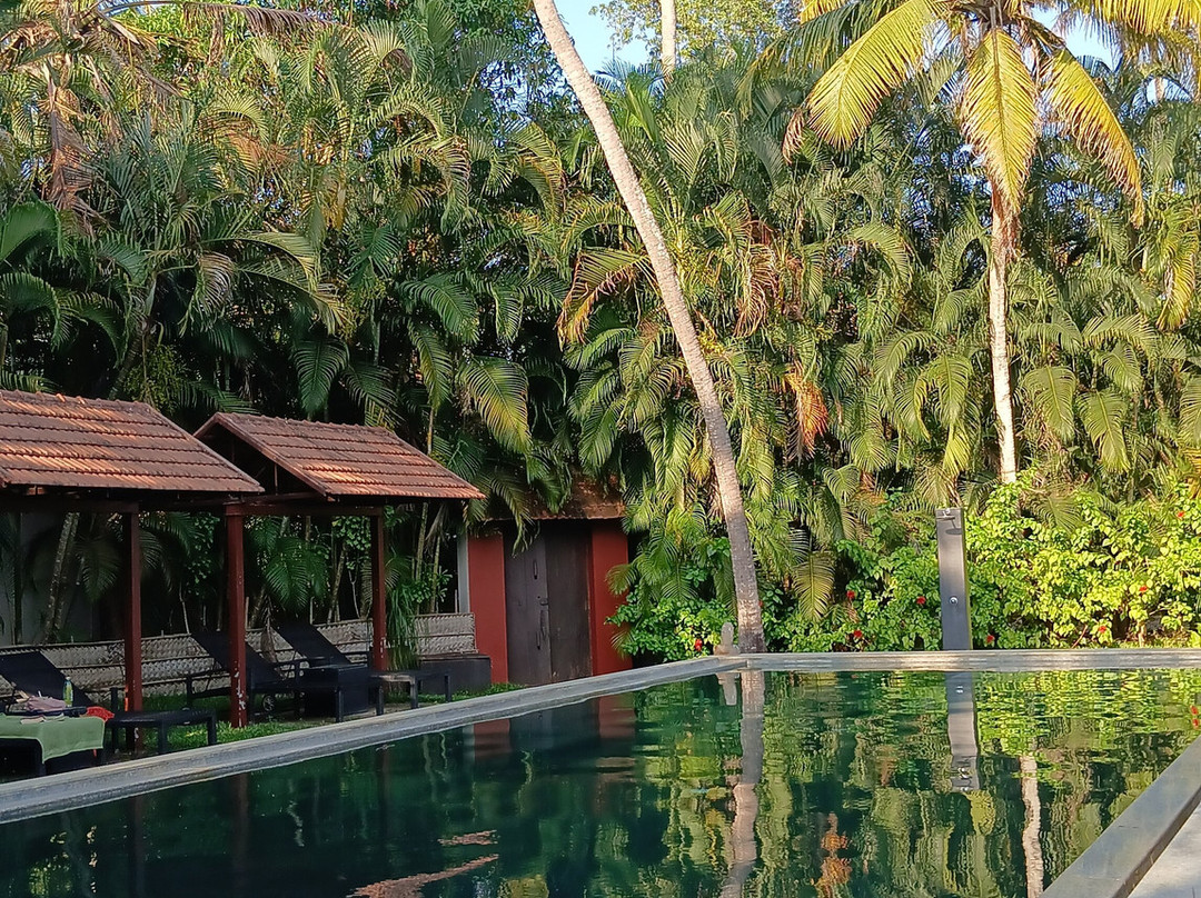 阿姆丽塔海滩交响乐酒店主图