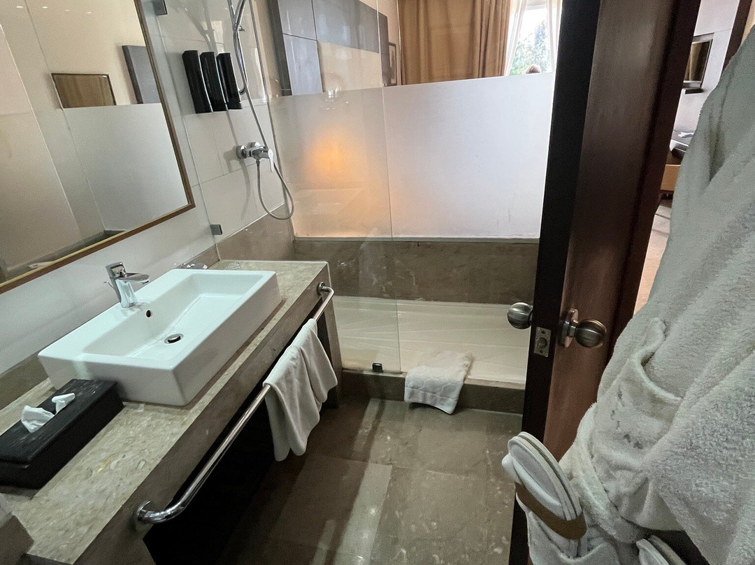 埃尔安达卢斯迪亚尔伊贝罗斯塔选择酒店主图