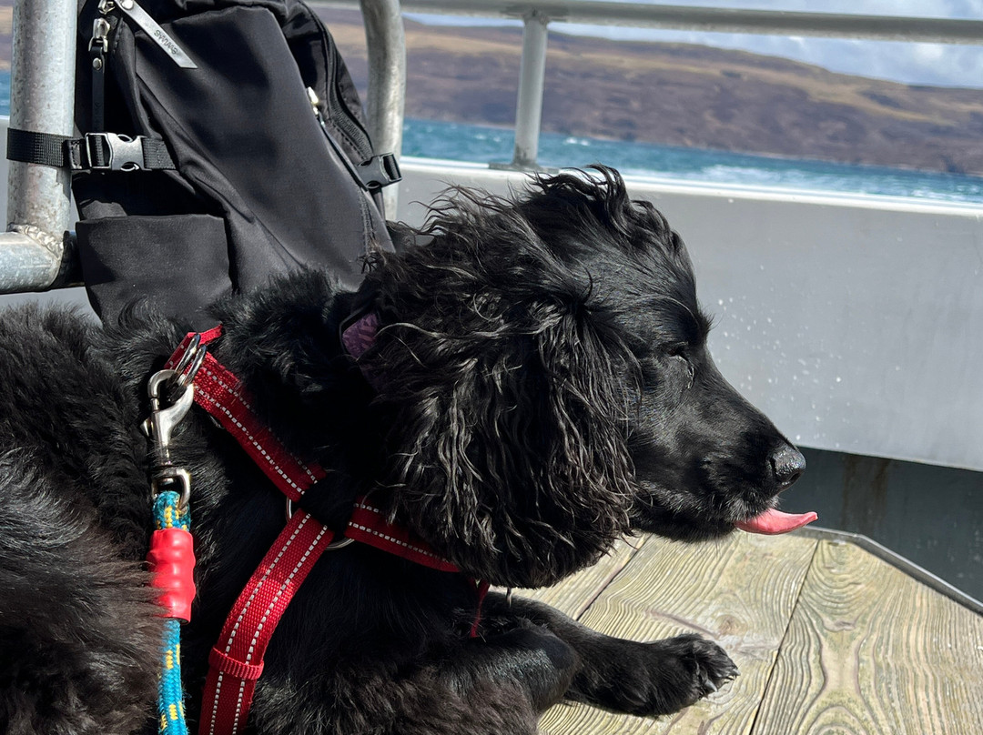 Stardust Boat Trips Portree-Portree必去景点