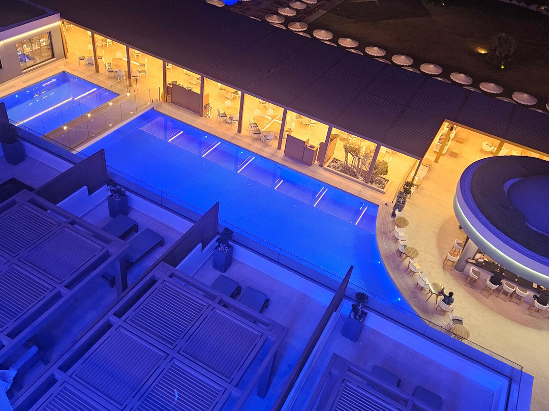 米茨斯阿利拉主图