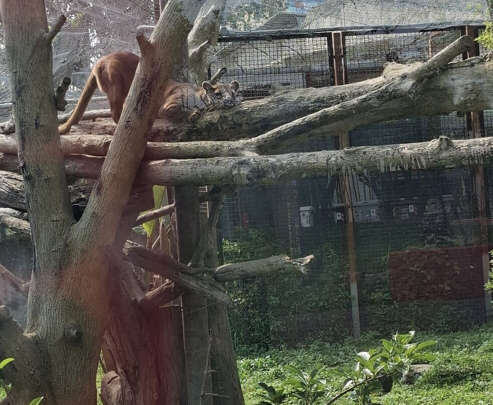 Lo Zoo di Napoli-那不勒斯必去景点