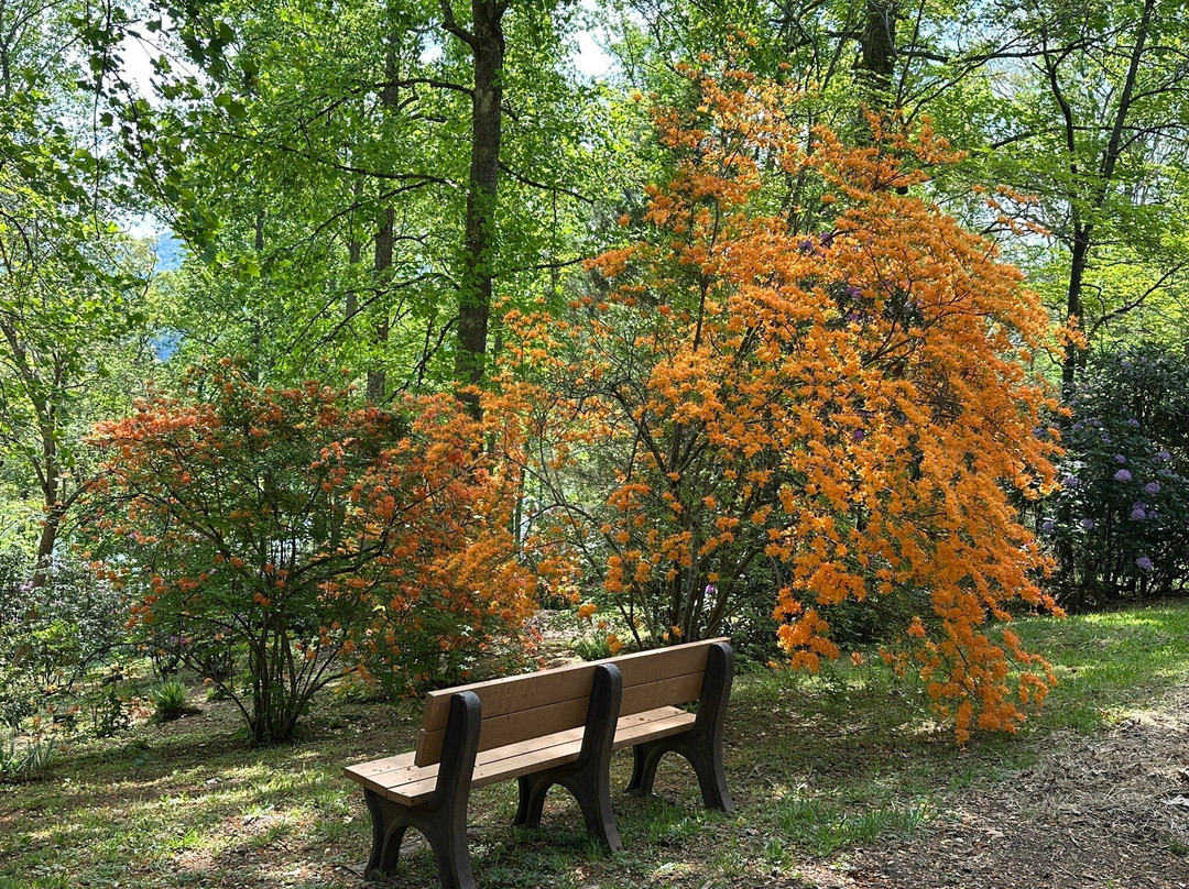 Hamilton Rhododendron Gardens-Hiawassee必去景点