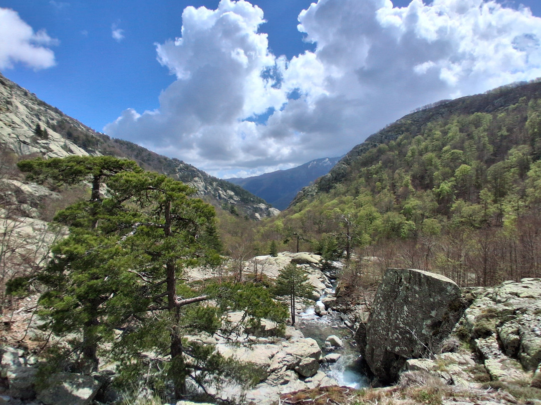 Corsica Natura-Bocognano必去景点