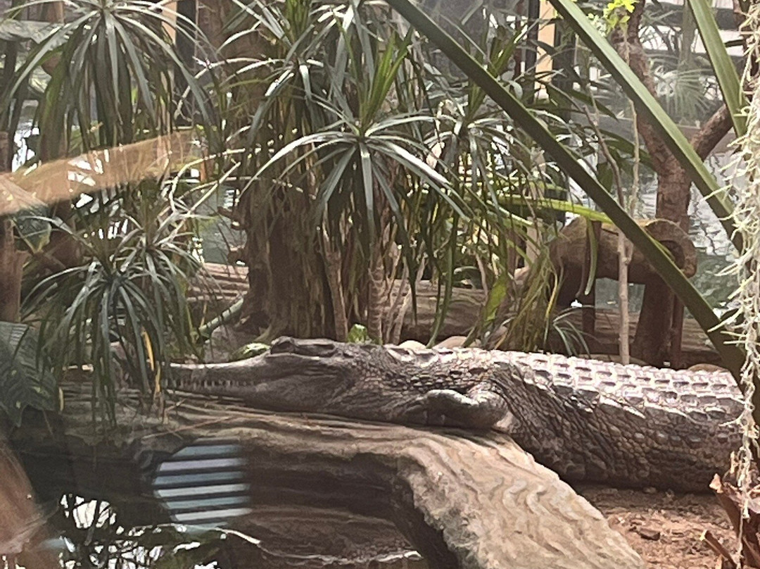 Paignton Zoo Environmental Park-佩恩顿必去景点