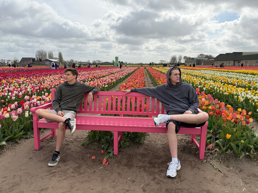 The Tulip Barn-Hillegom必去景点