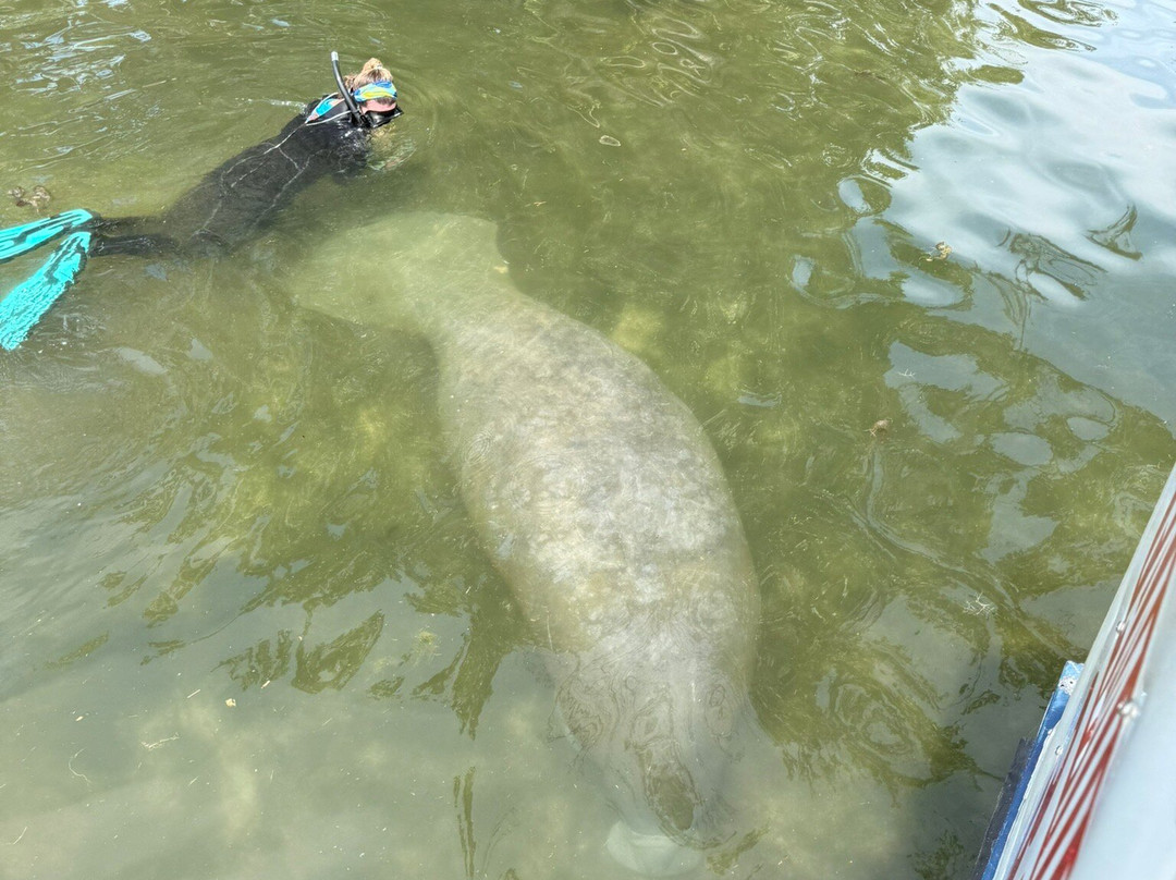 Family Adventure Charters-克里斯特尔里弗必去景点