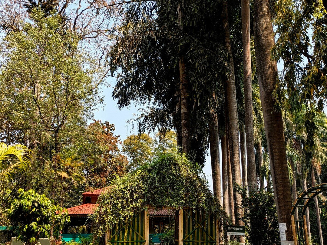 Waghai Botanical Garden-Saputara必去景点