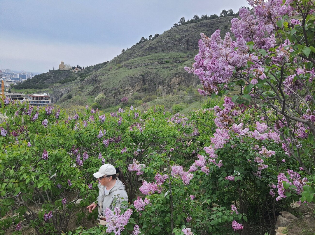 National Botanical Garden of Georgia-第比利斯必去景点