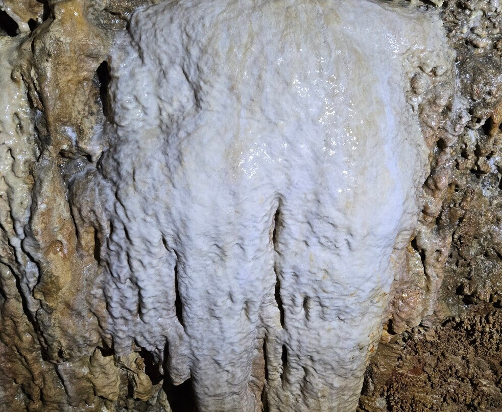 Stark Caverns-Eldon必去景点