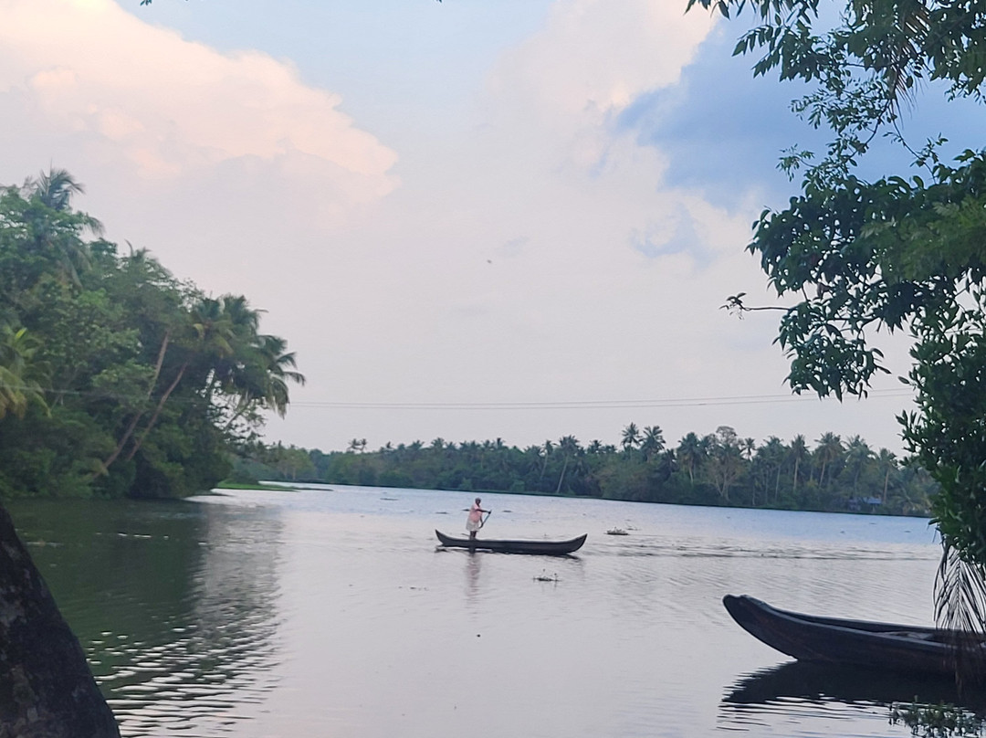 Ennakathara Arya Vaidya Sala-Chottanikkara必去景点