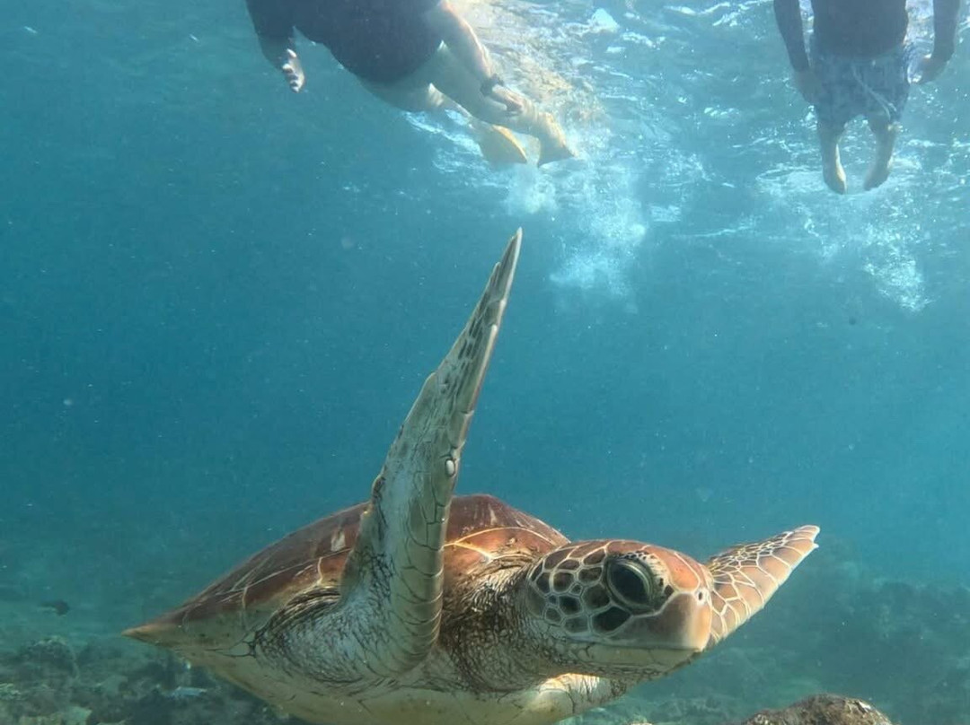 Ceningan Snorkeling Trip-努沙切宁安岛必去景点