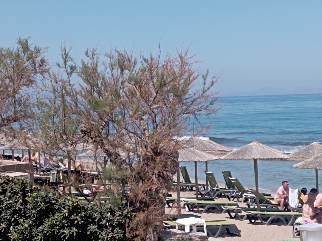 雷赛姆诺皇宫酒店主图