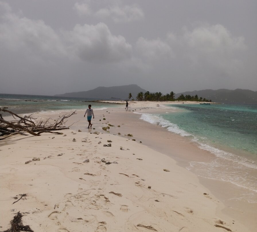Sandy Island-Carriacou Island必去景点