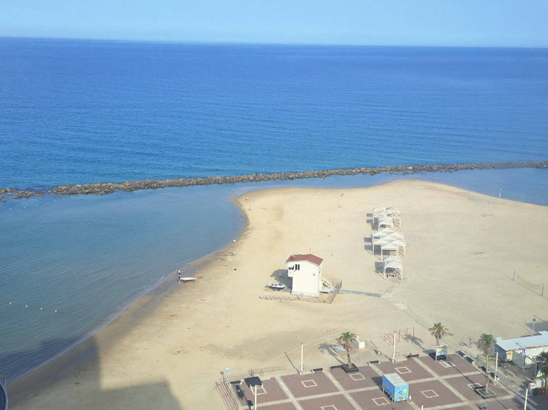海法莱昂纳多酒店主图