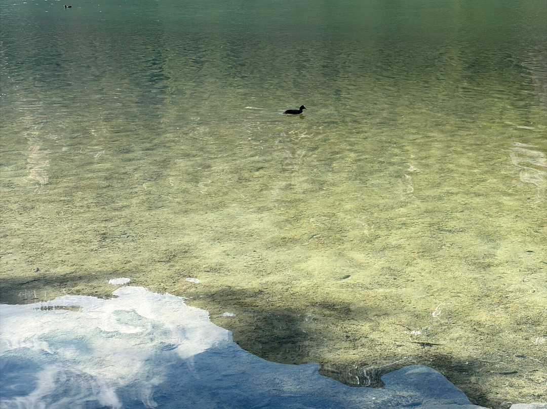 Lago di Dobbiaco-多比亚科必去景点