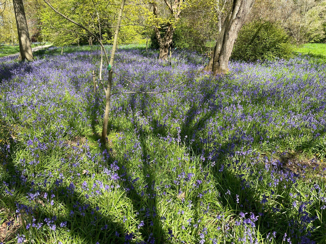 Thorp Perrow-Bedale必去景点