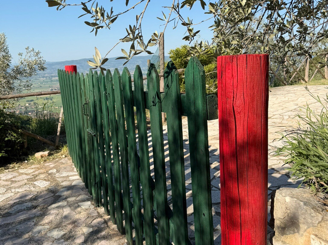 Agriturismo il Bastione主图