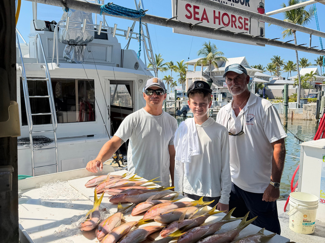 Sea Horse Private Charters-伊斯拉摩拉达必去景点