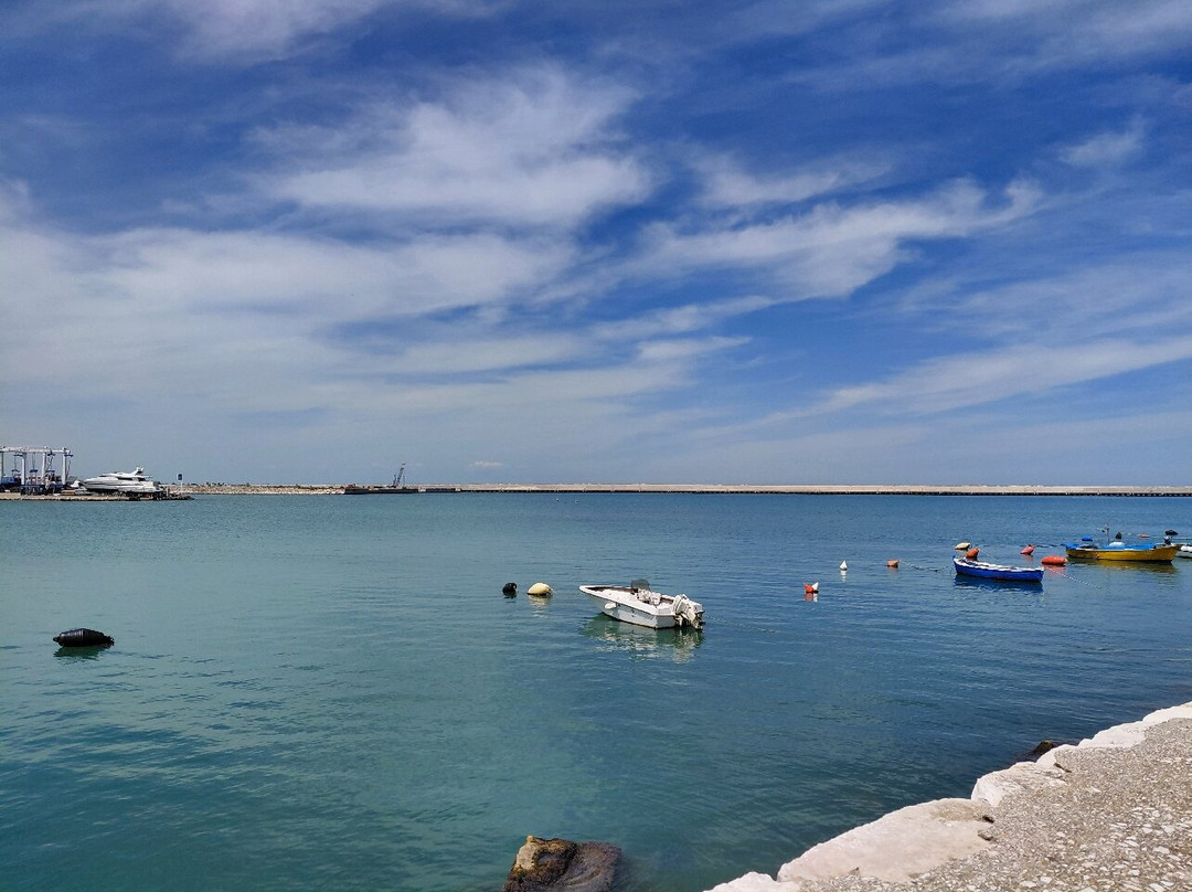 Duomo di Molfetta - Parrocchia San Corrado-莫尔费塔必去景点