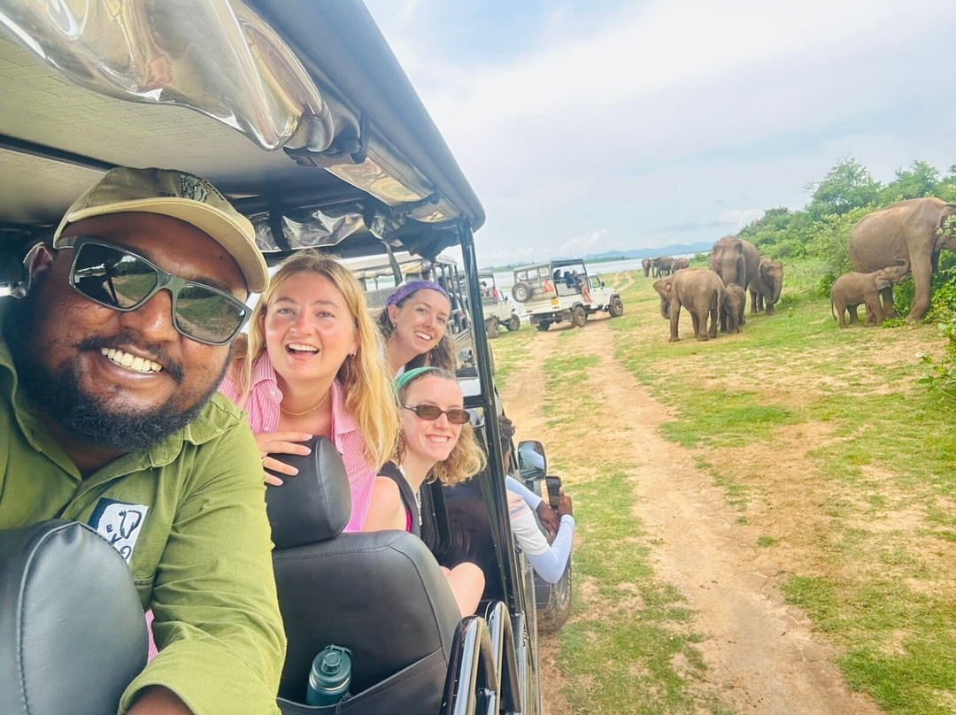 Udawalawe Ethical Safari-乌达瓦拉瓦必去景点