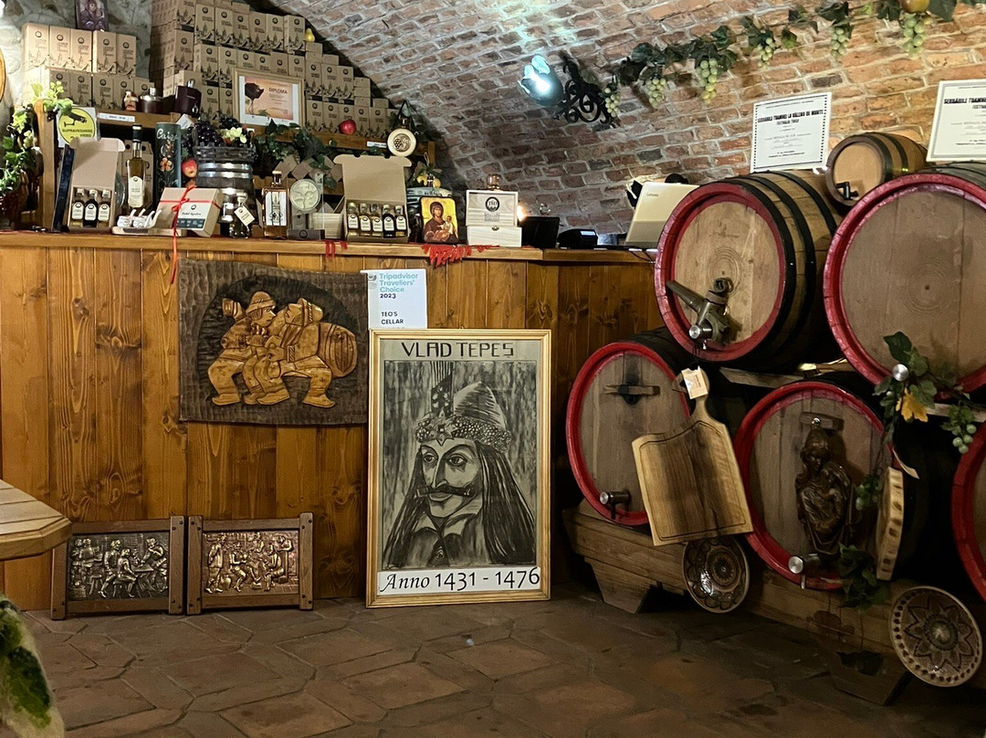 Pivnita lui Teo - Teo's Cellar-锡吉索拉必去景点
