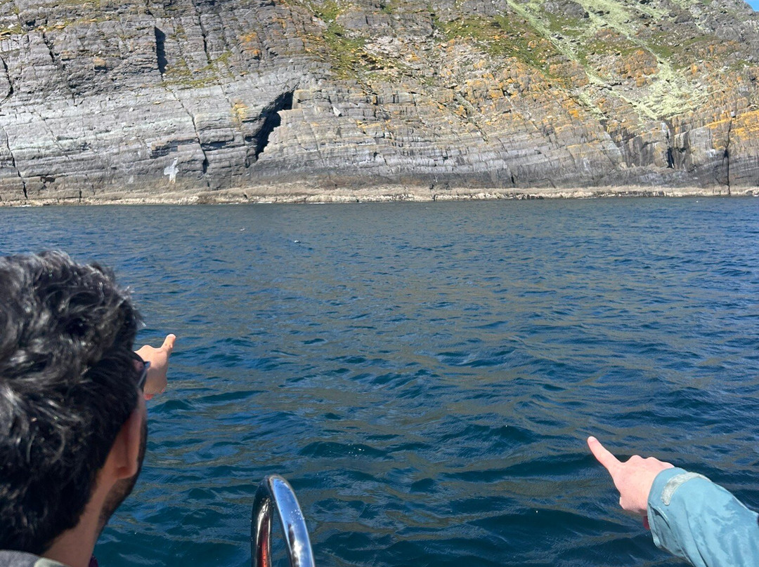 Skellig Coast Adventures-Portmagee必去景点