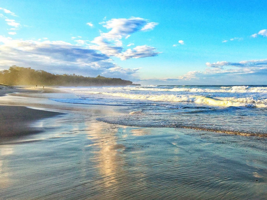 Narooma Surf Beach-纳鲁马必去景点