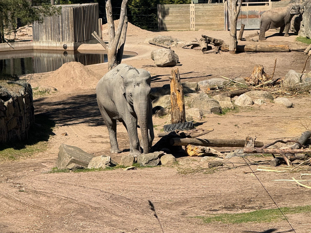 Kolmården Zoo-Kolmarden必去景点