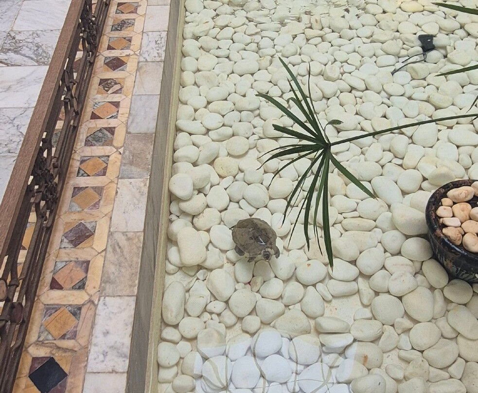 突尼斯的公馆酒店主图