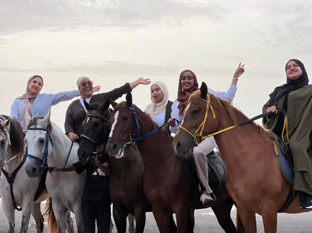 Horse Sidi Rahal