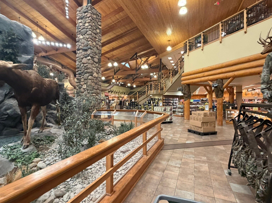 Cabela's-Hamburg必去景点