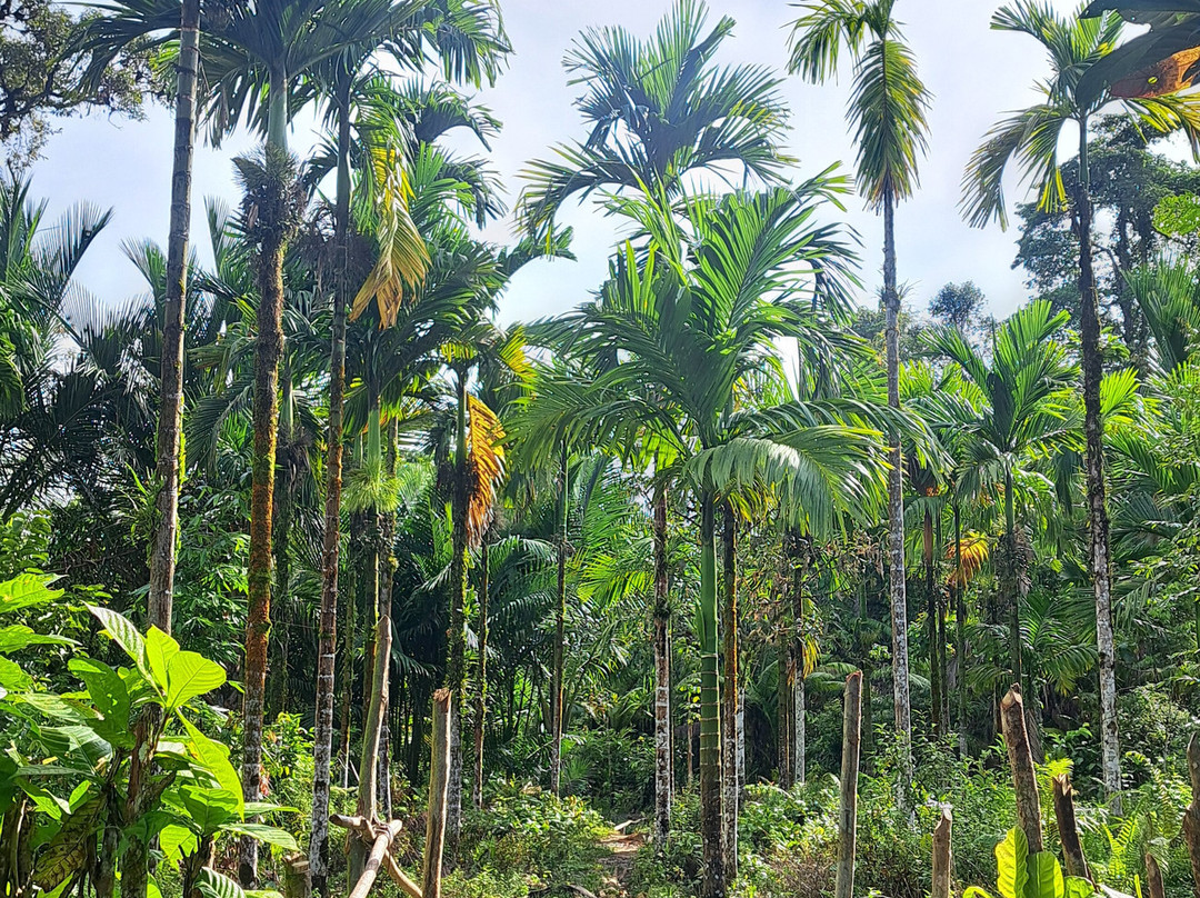 Mentawai Experience-巴东必去景点