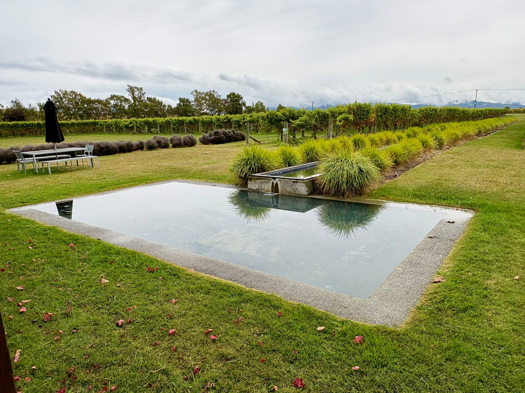 Villa Maria Estate Marlborough Winery-布伦海姆必去景点