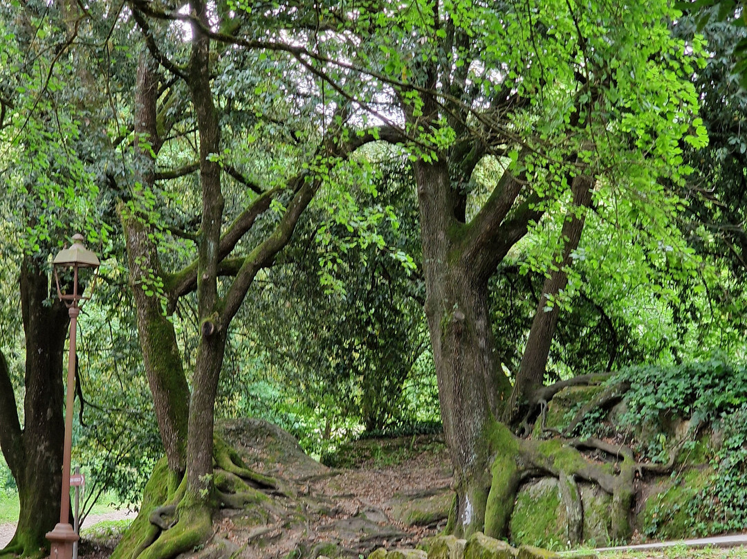 Sacro Bosco-博马尔佐必去景点