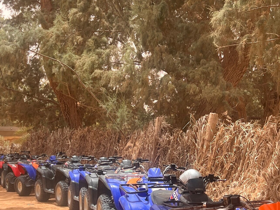 Ennakhil de tourisme Djerba-米栋必去景点