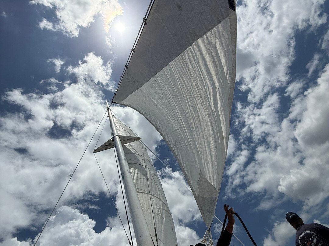 Freestyle Catamaran Tour-普拉塔港必去景点