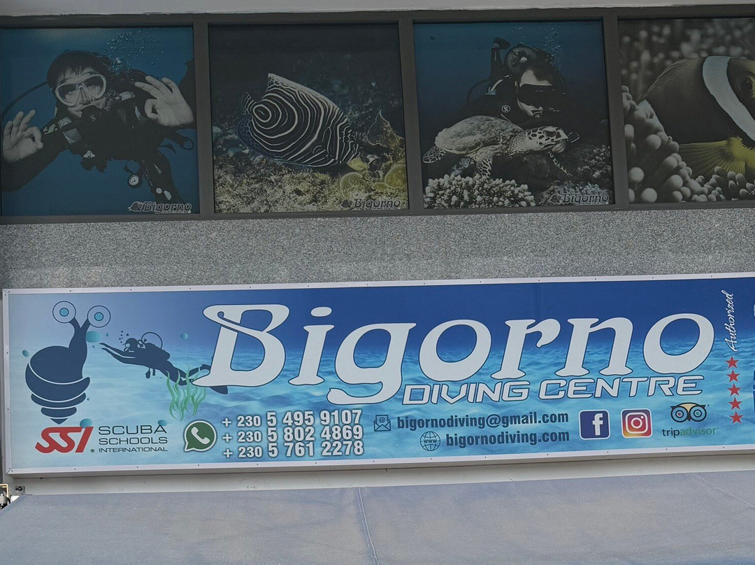 Bigorno Diving Center Mauritius-卓欧毕雪必去景点