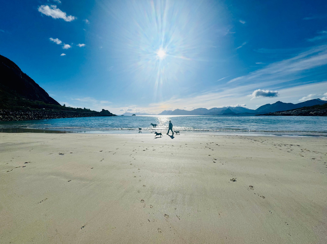 Rørvikstranda Beach-Kabelvag必去景点