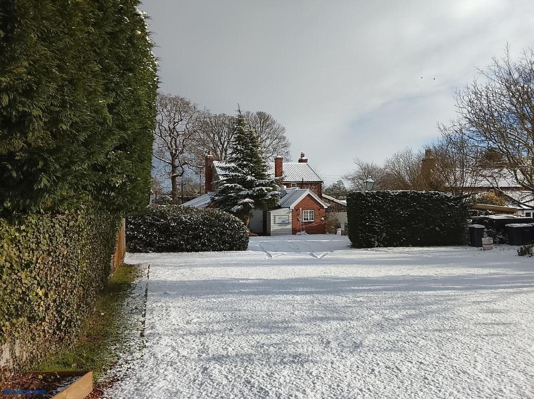 The Beehive Inn