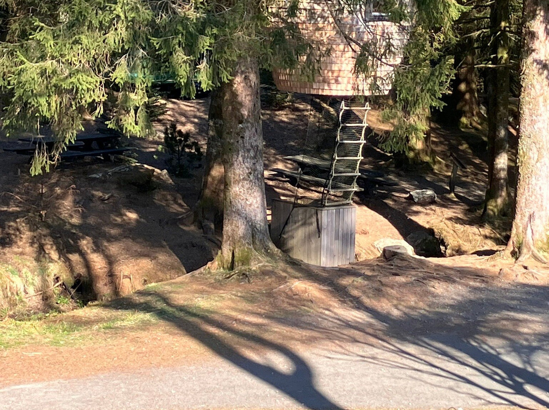 弗洛伊恩山（有缆车）-卑尔根必去景点