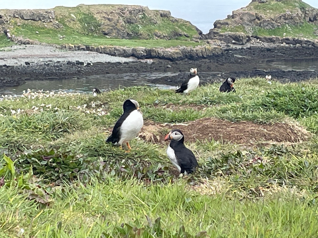 Tiree Sea Tours-Isle of Tiree必去景点