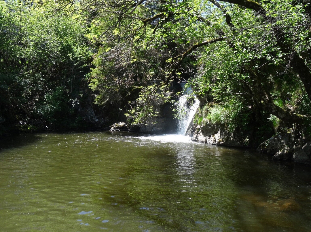 白鲸住宿加早餐旅馆主图