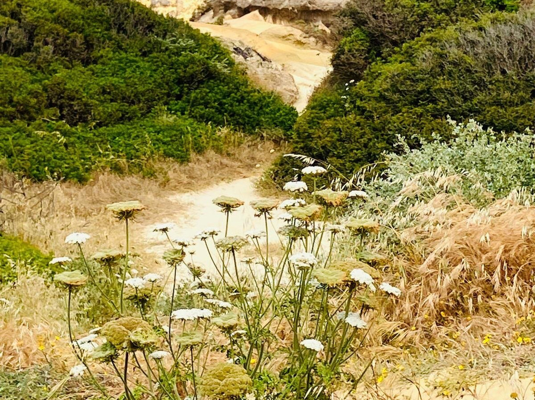 Ponta do Castelo-Carrapateira必去景点