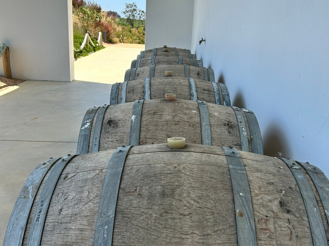 Vicentino Wines-Odemira必去景点