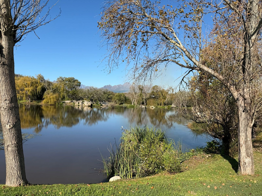 Spier Wine Farm-斯泰伦博斯必去景点