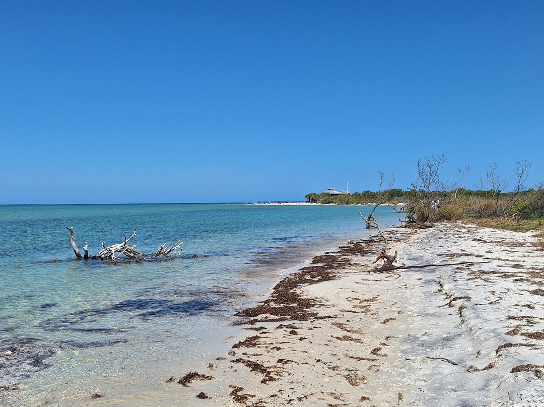Honeymoon Island State Park-达尼丁必去景点
