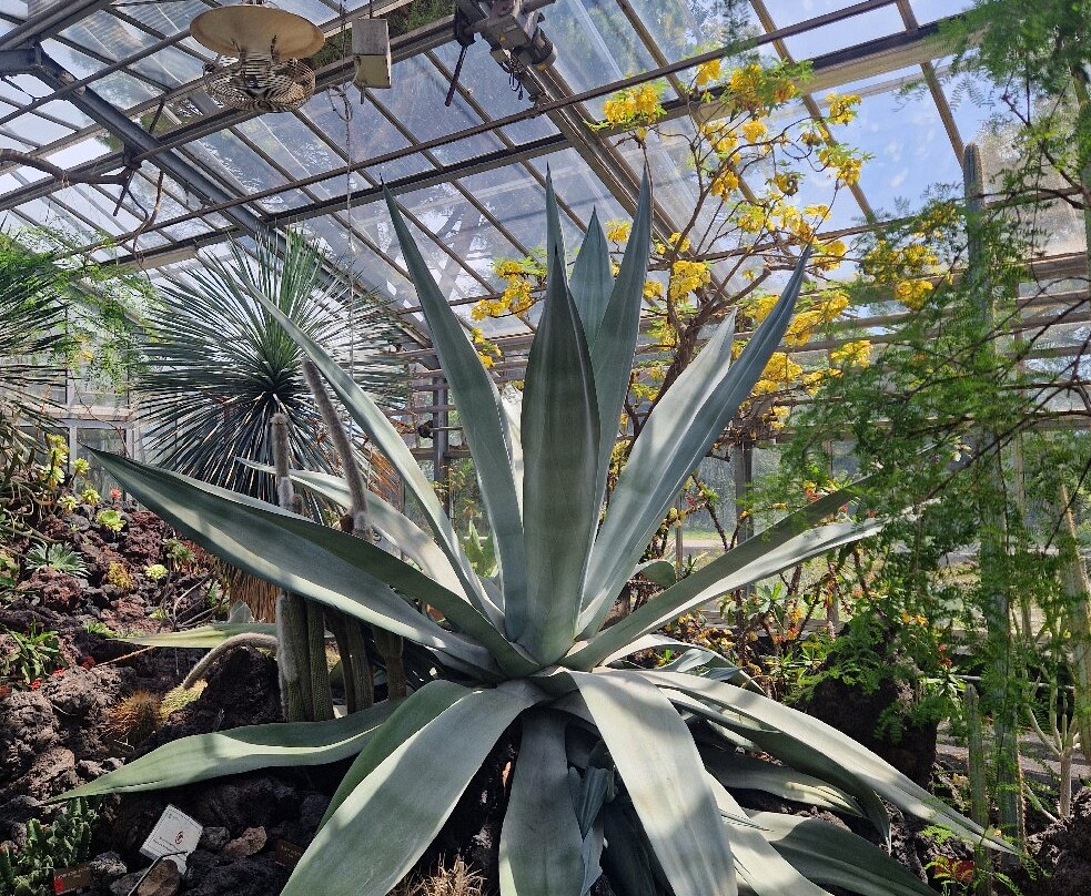 Jardin botanique de Genève-Pregny-Chambesy必去景点